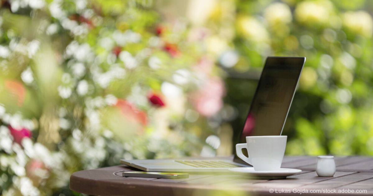 Online-Datenbank